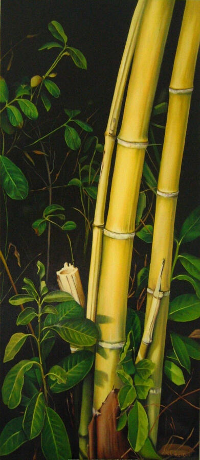 Bamboo - 20" x 46"
