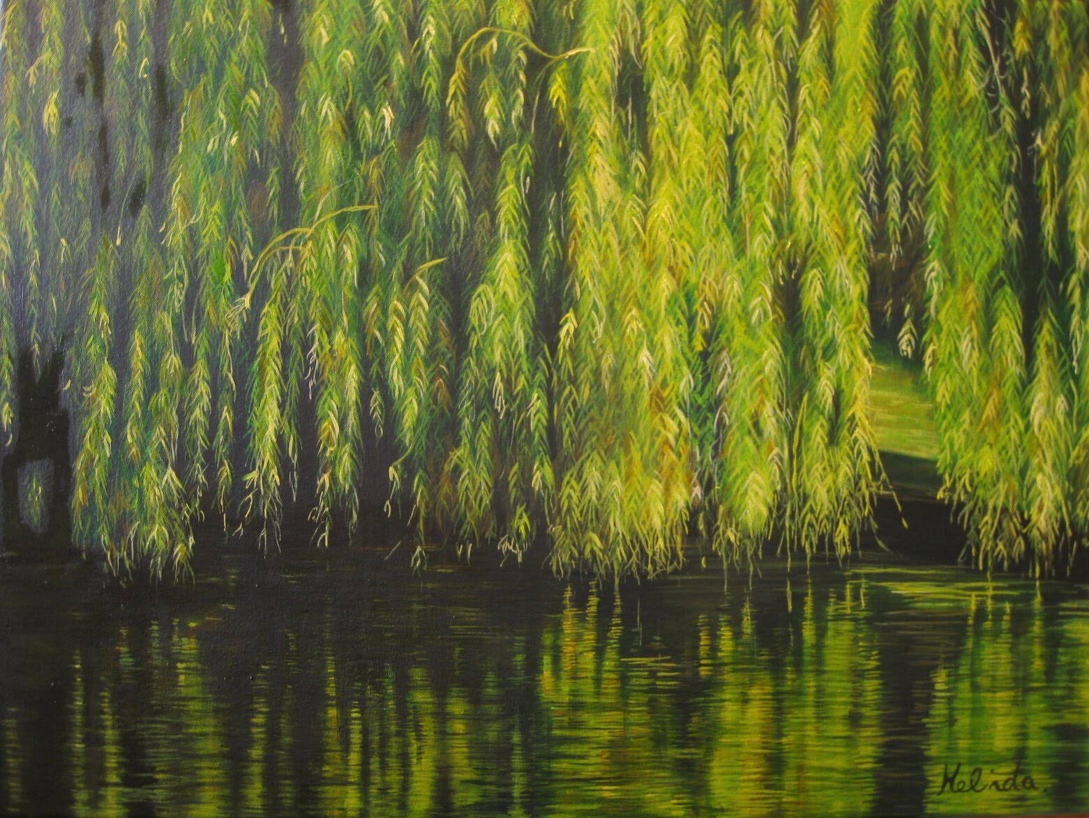 Weeping Willow - 24" x 18"