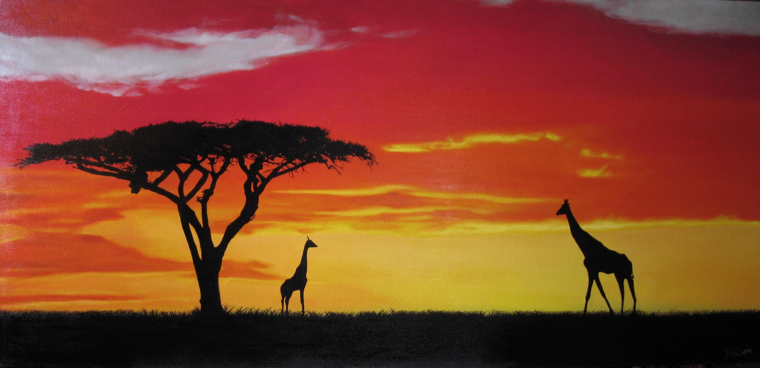 Africa - 55" x 27"