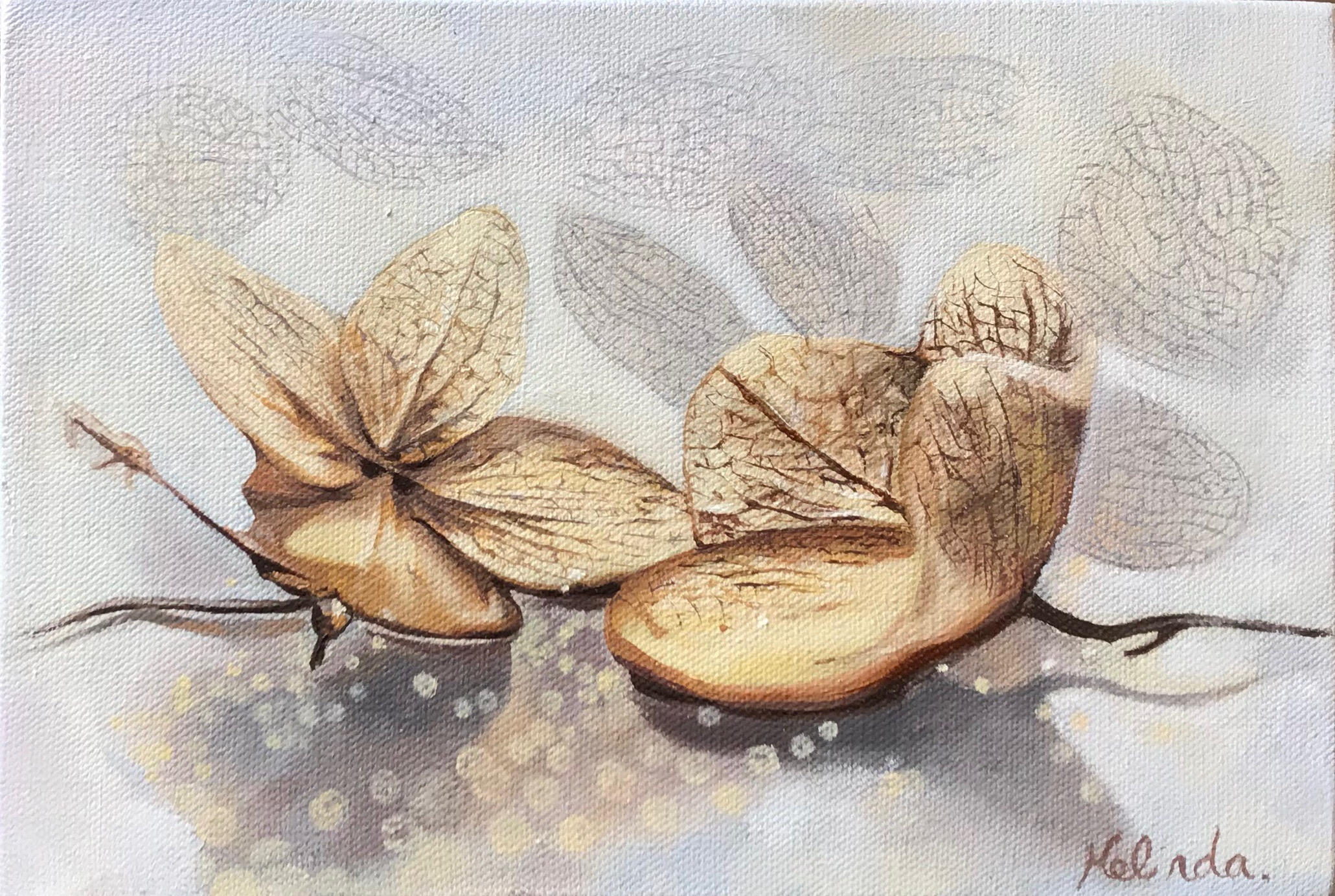 Dried Flowers - 10" x 7"