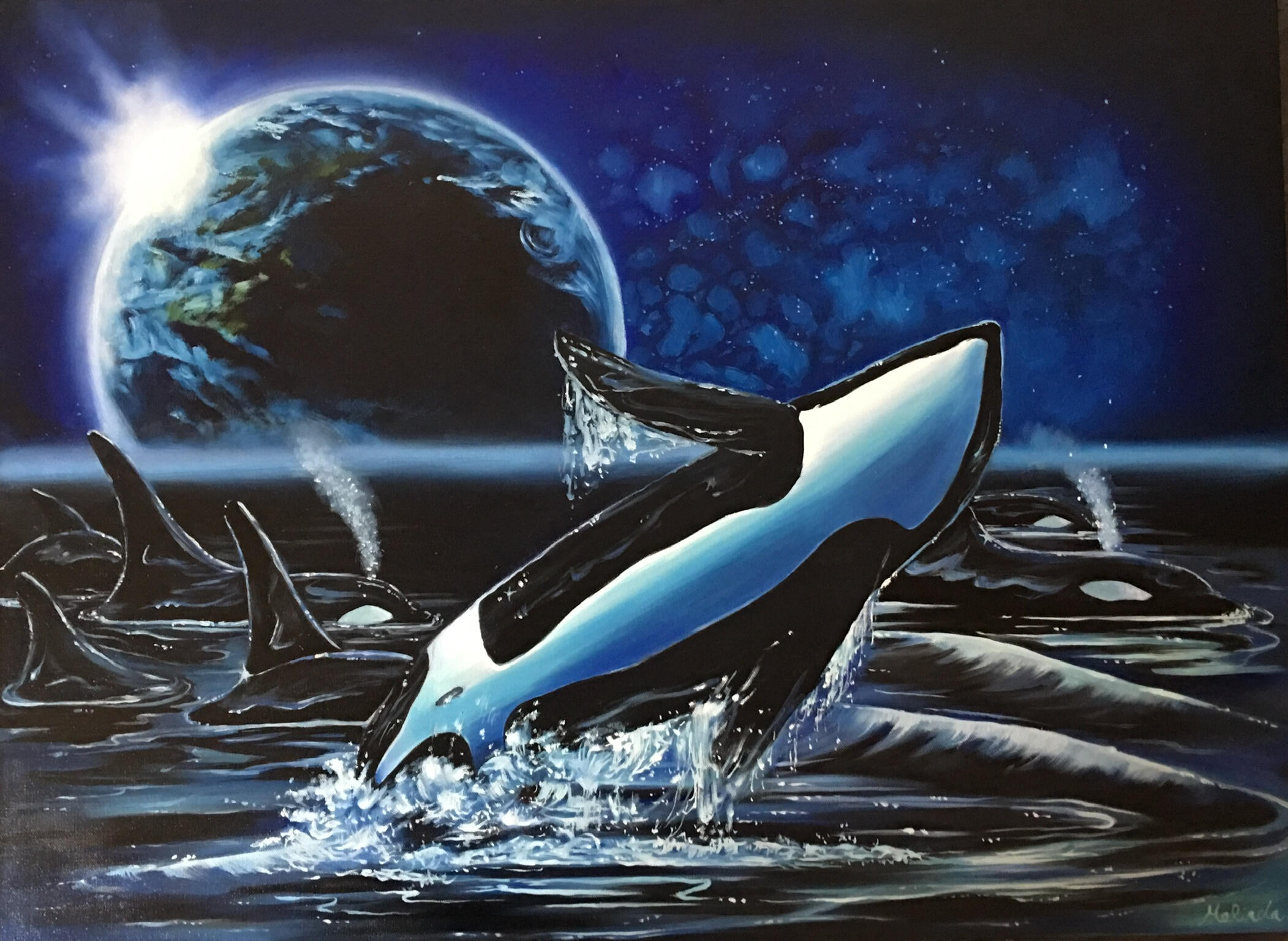Orcas 1 - 34" x 25"