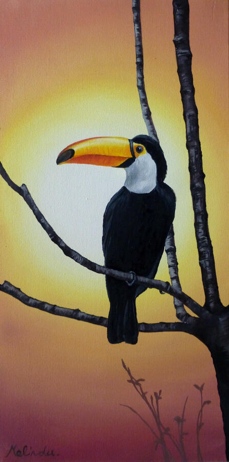 Toucan - 8" x 16"
