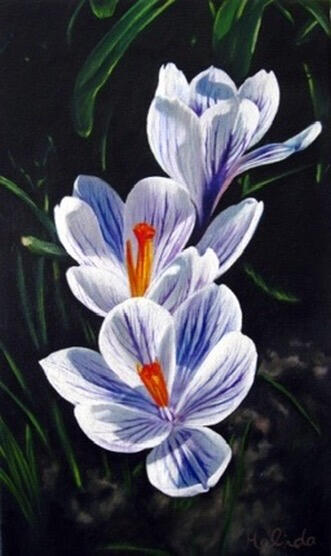 Awakening - 9" x 15"