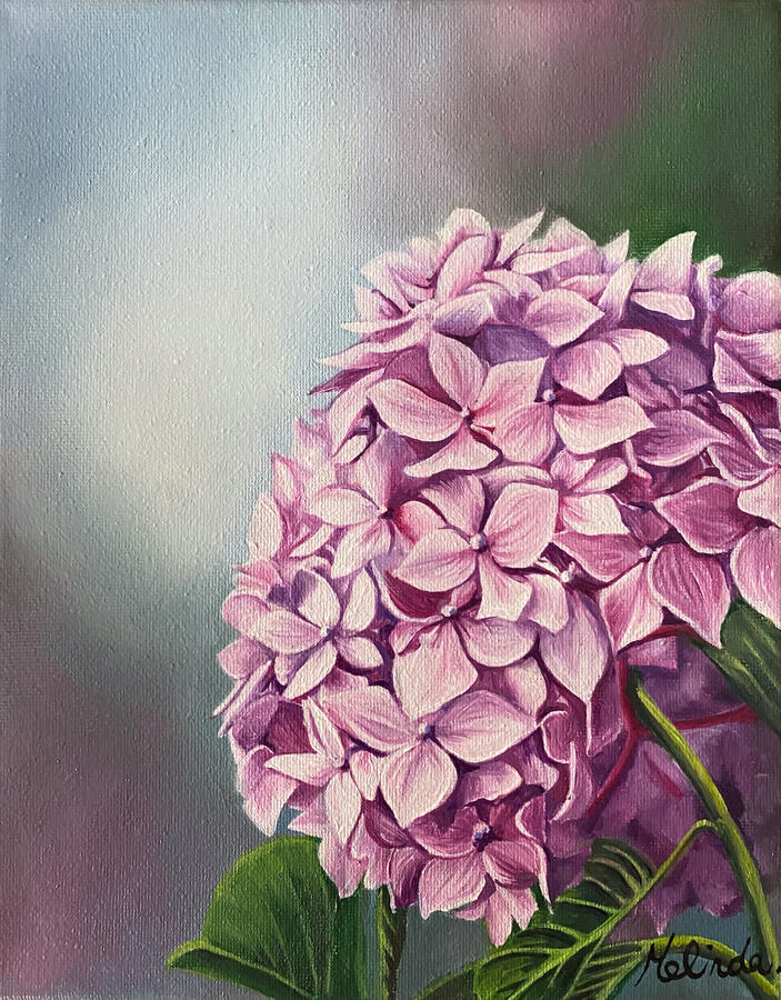 Hydrangea - 8" x 10"