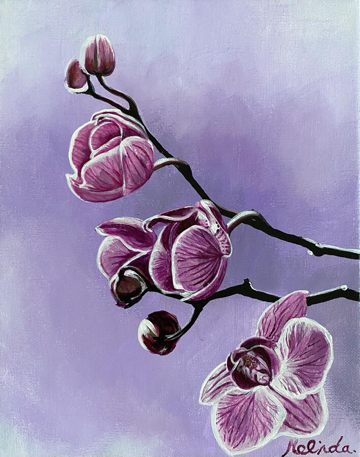 Orchid - 8" x 10" Acrylics