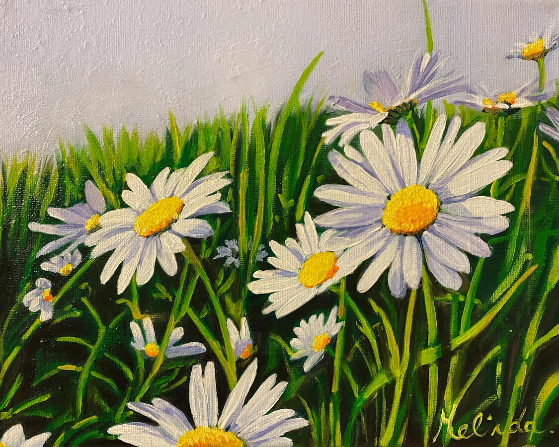 Daisies - 10" x 8"