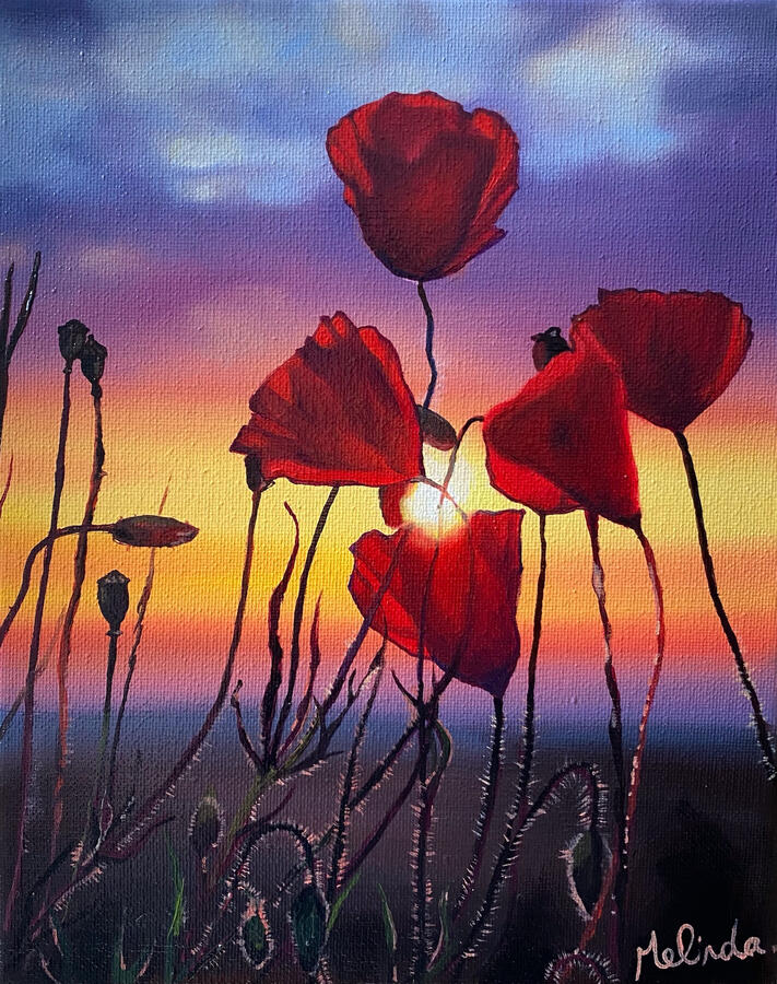 Poppies - 8" x 10"