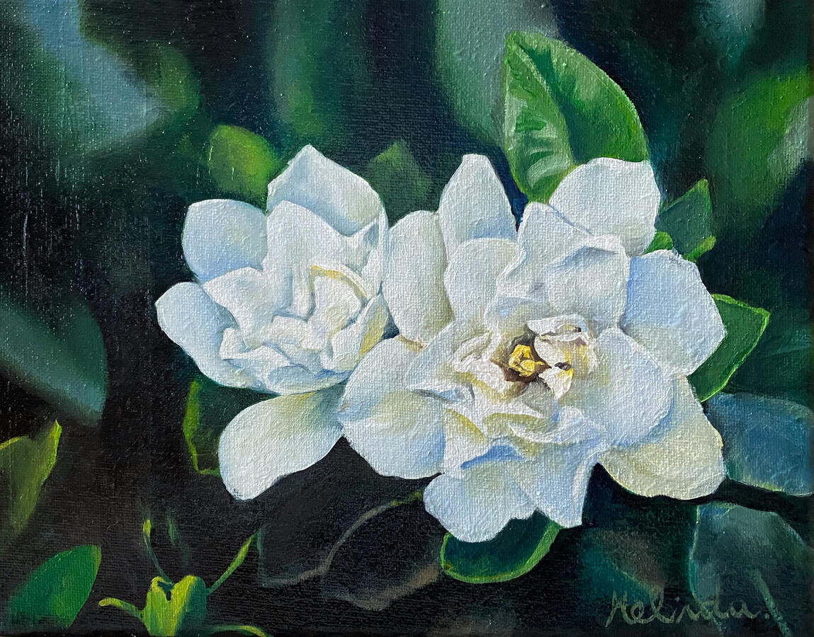 Gardenia - 10" x 8"