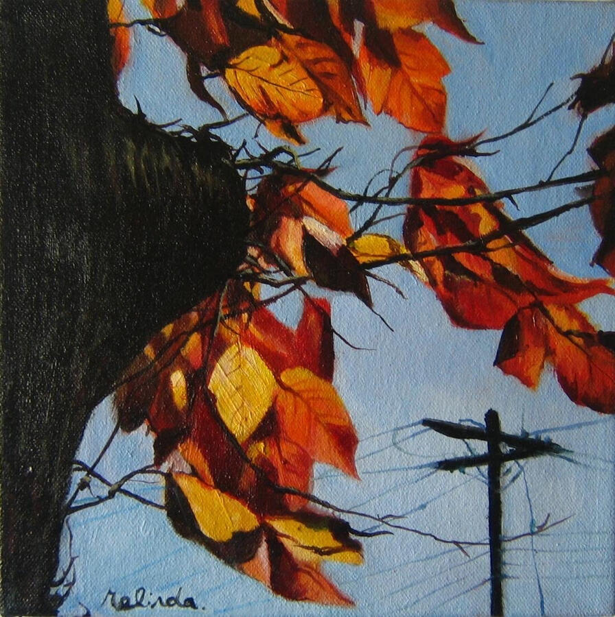 Jamaica Queens - 10" x 10"