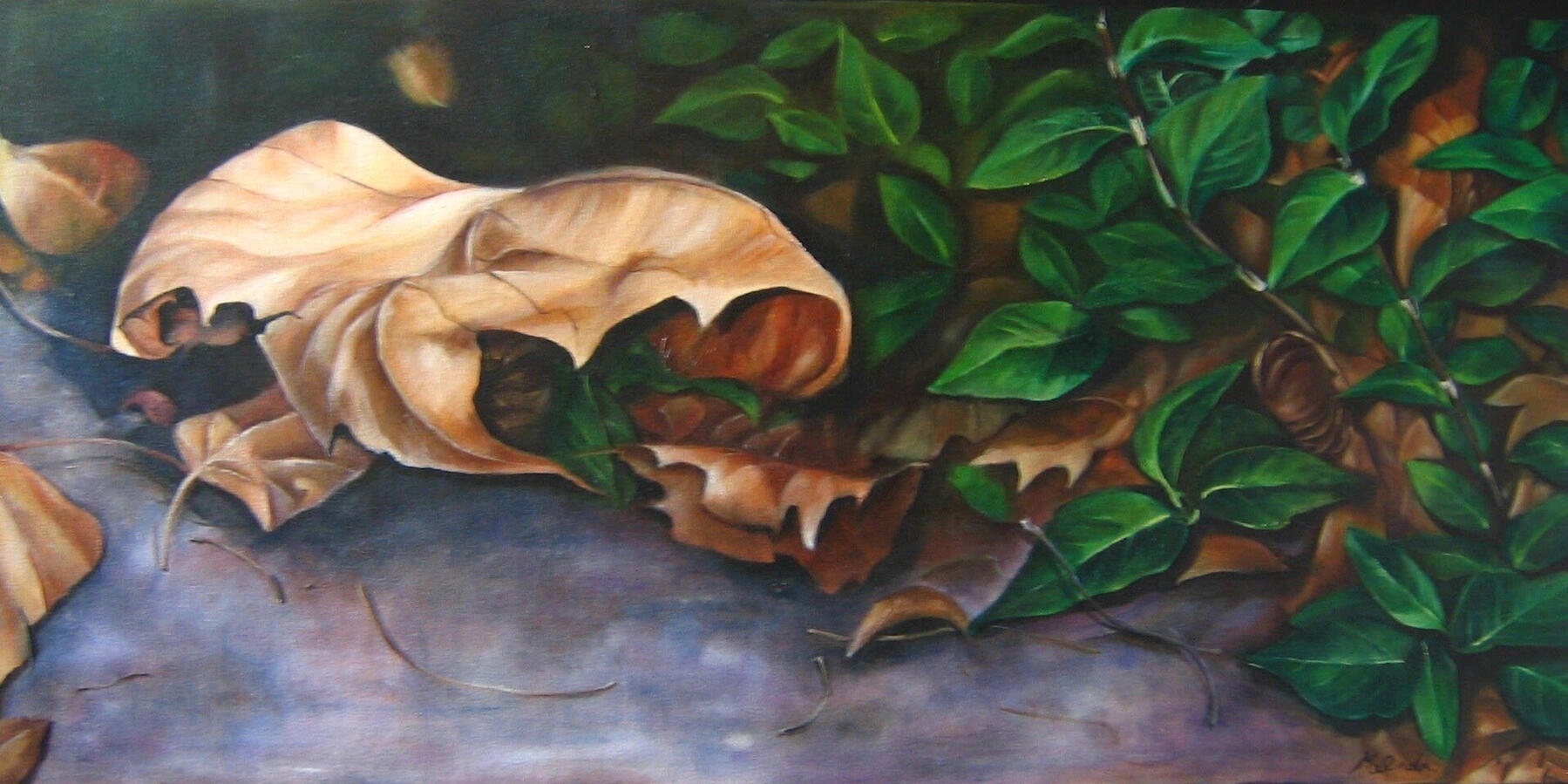 Circle of Life - 46" x 20"