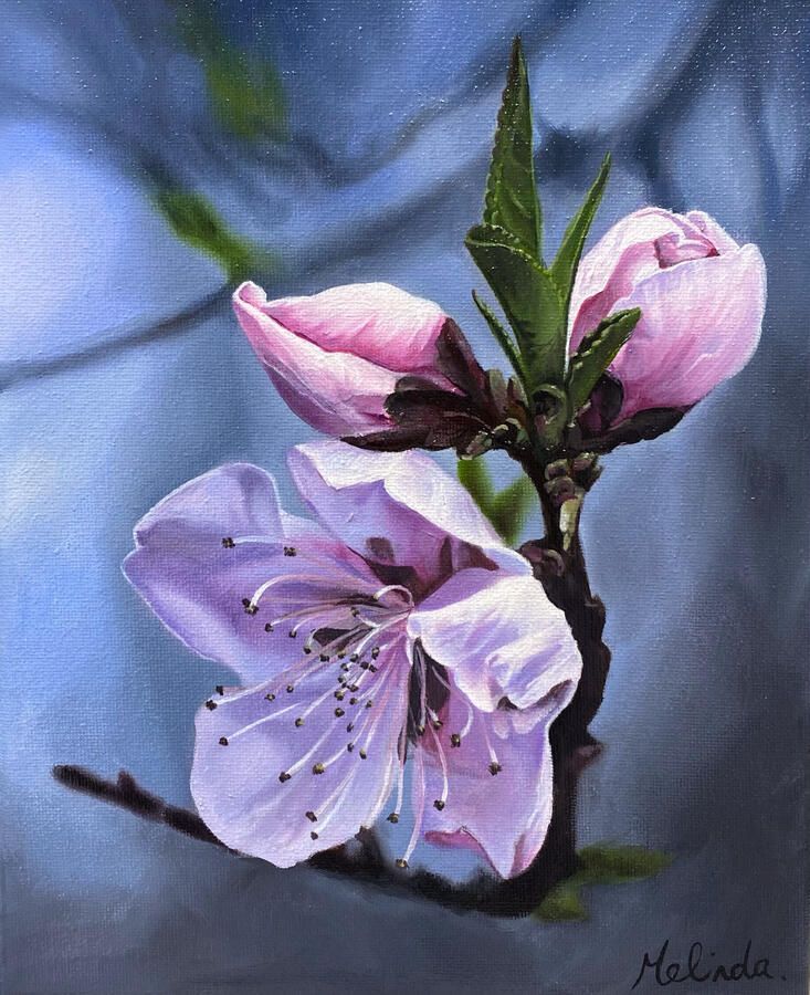 $395 - Cherry Blossom - 8" x 10"